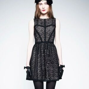 Erin Fetherston Black Lace Pink Fit Flare Mini Cocktail Dress 8 sleeveless party